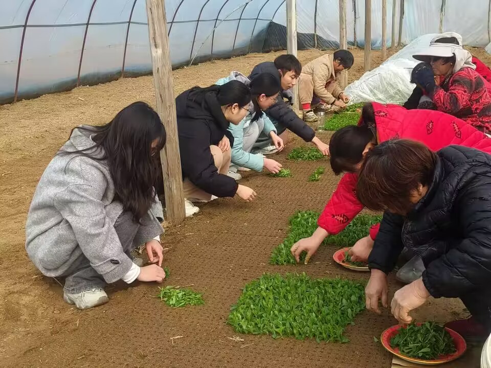 新城平台-安财学子走进明光，探寻土特产发展之路