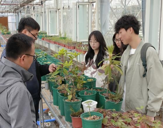 新城平台-“天雨自然”团队走进丽江拉市海高山植物培育基地