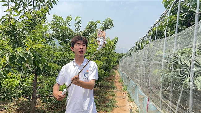 新城平台-聚焦乡村振兴，投身社会实践，以青春之力助推农村产业新发展