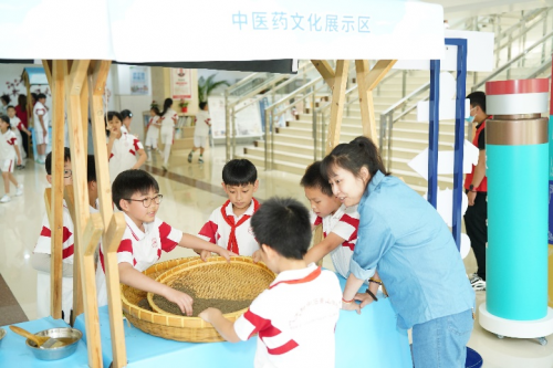 新城平台-岐黄沁学子 药香飘校园，校园中医药文化主题日成功举办