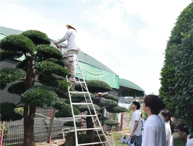 新城平台-绿色长征 青春行动：青年环保行动引领绿色文明新风尚