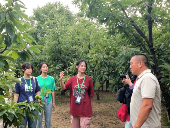 新城平台-青山资源打底，红韵魅力振兴 ——基于3省4区（县）21村暑期实践的青春探索